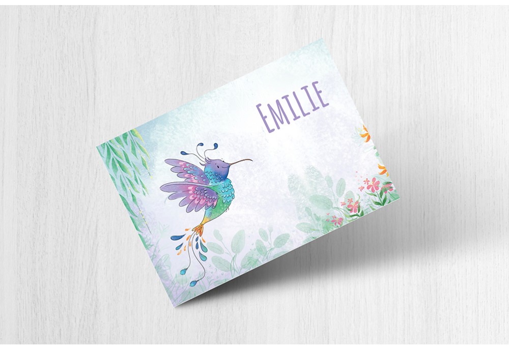 Kleurrijke kolibri Kleurrijke kolibri